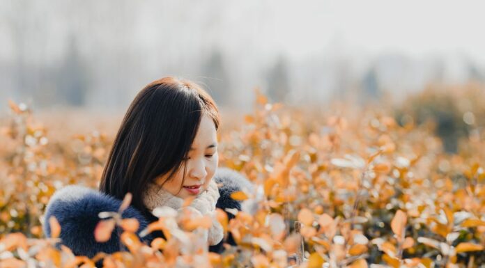 wat voor jas bij welk weer?