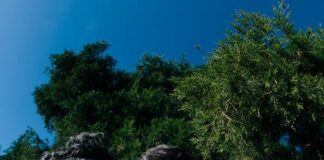 welke zonnebril past bij mij?