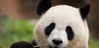 Het indrukwekkende China als bestemming