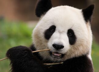 Het indrukwekkende China als bestemming