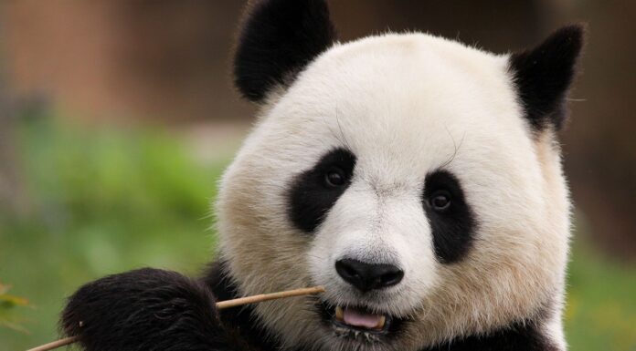 Het indrukwekkende China als bestemming