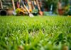Groen gazon: tips en trucs voor een perfect onderhouden tuin
